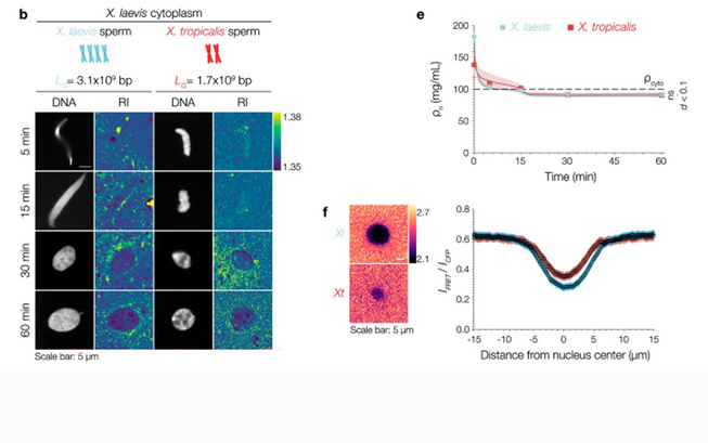Newws_ReberAugust2025