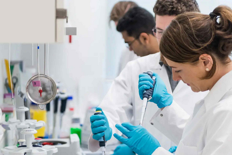 Bild © https://www.mpiib-berlin.mpg.de/2152983/Quantitative-Biology Reber_MIP_Projekt_Forschung