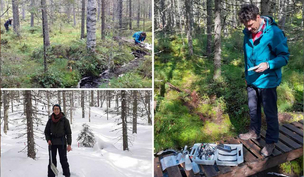 Drei Fotos: Links oben: Zwei Menschen in einem Moor. Links unten: Der Fluss Krycklan in Schweden. Rechts: Prof. Dr. Benny Selle auf einer Holzbrücke in einem Moor. Vor ihm auf dem Boden ein geöffneter Koffer mit Messinstrumenten darin. Geländearbeiten im schwedischen Krycklan: Prof. Dr. Benny Selle (rechts), Doktorandin Anja Hortmann (unten links) und Prof. Dr. Klaus-Holger Knorr (oben links, Universität Münster) untersuchen einen Bach. BILD: ANJA HORTMANN