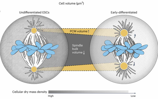 News_Reber_NatureJune25