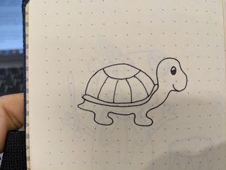 Handskizze einer vereinfachten Schildkröte