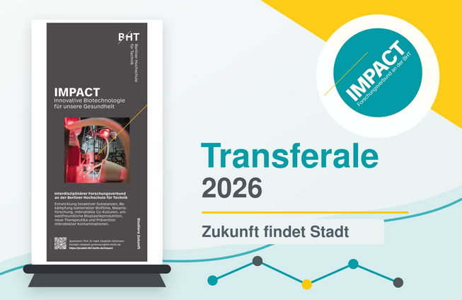 transferale26_IMPACT_rollup