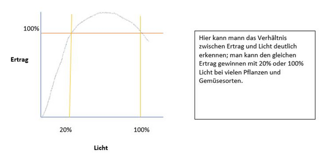 Bild7