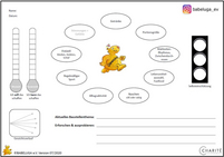 Projektteam Bebeluga Projektteam Bebeluga