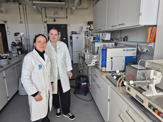 Iryna_Lab_with_prof