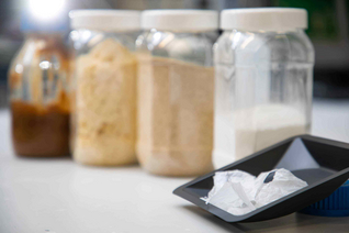 Riedel_KoreanischerProjekt