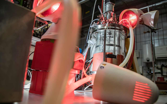 News_Riedel_Transferprojekt