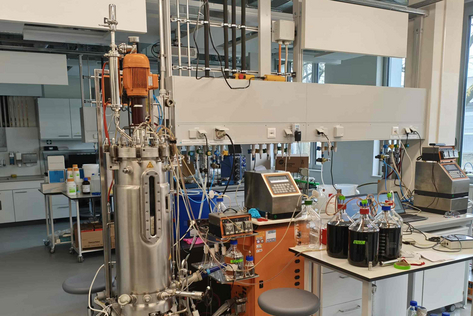 Riedel_TransferBonus_R