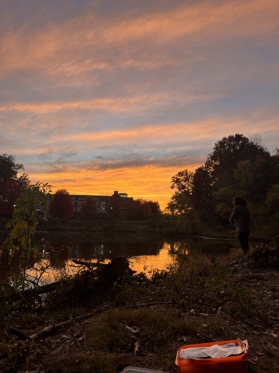 Sonnenuntergang am Lake Sylva, direkt auf dem Campus
