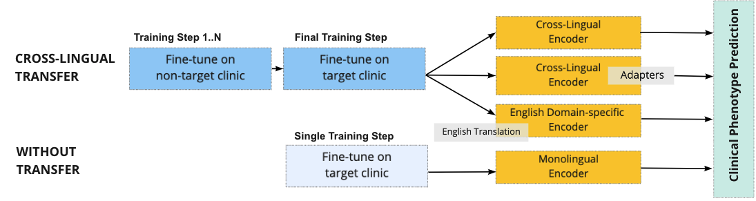 Cross-Lingual Knowledge Transfer for Clinical Phenotyping
